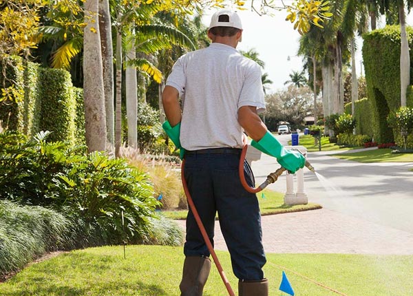 About Deweese NE Pest Control